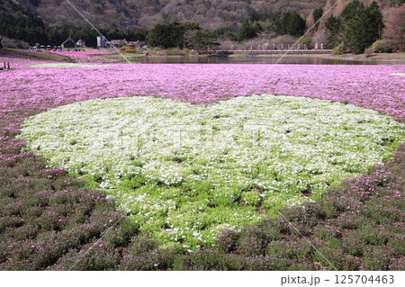 ハートマークの花畑 ハートマークの花畑 125704463