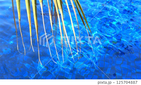 Tourist attraction glows beneath tropical sun as swimming pool ripples gently, clear blue reflections radiate calm, inviting serene moments perfect for escape and summer rest Tourist attraction  125704887