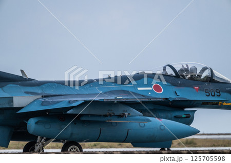 航空自衛隊　航空ショー 125705598