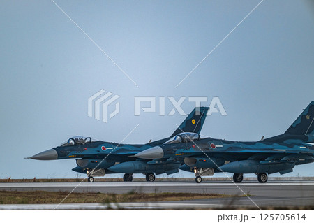 航空自衛隊　航空ショー 125705614