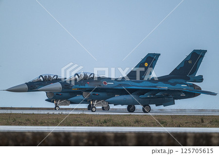 航空自衛隊　航空ショー 125705615