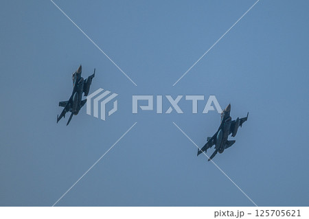 航空自衛隊　航空ショー 125705621