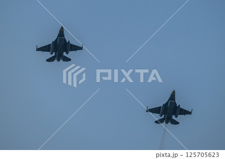 航空自衛隊　航空ショー 125705623