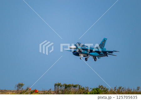 航空自衛隊　航空ショー 125705635