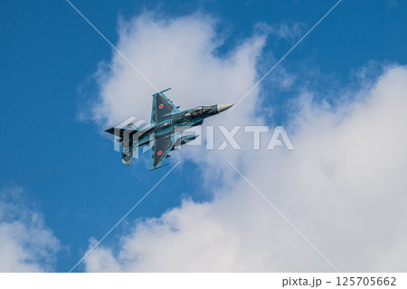 航空自衛隊　航空ショー 125705662
