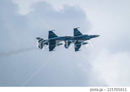 航空自衛隊 航空ショー 航空自衛隊 航空ショー 125705811