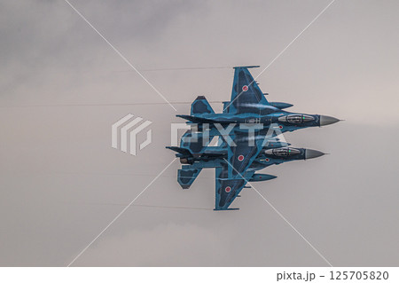航空自衛隊　航空ショー 125705820