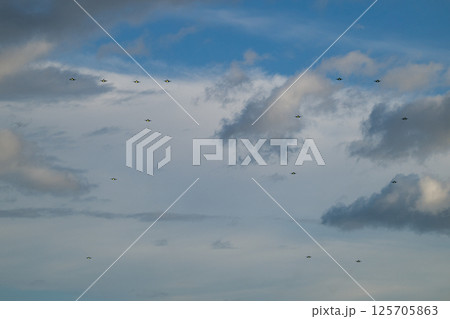 航空自衛隊　航空ショー 125705863