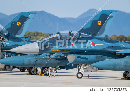 航空自衛隊　航空ショー 125705878
