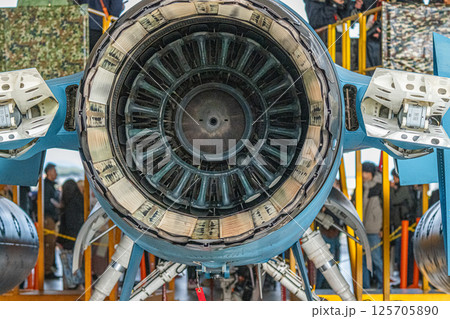 航空自衛隊　航空ショー 125705890