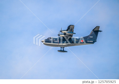 航空自衛隊　航空ショー 125705925