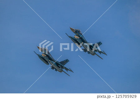 航空自衛隊 航空ショー 航空自衛隊 航空ショー 125705929