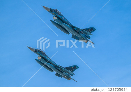 航空自衛隊　航空ショー 125705934