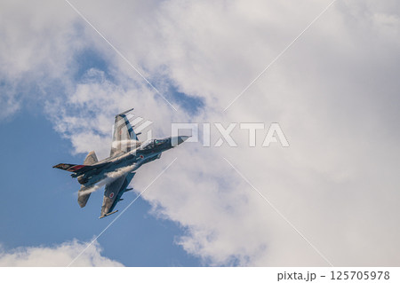 航空自衛隊　航空ショー 125705978