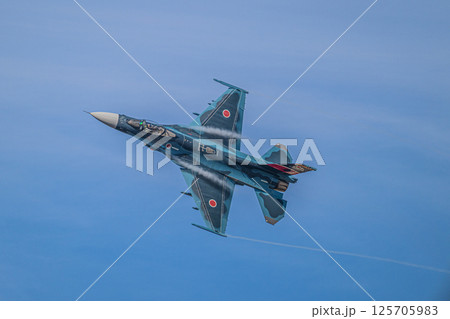 航空自衛隊　航空ショー 125705983