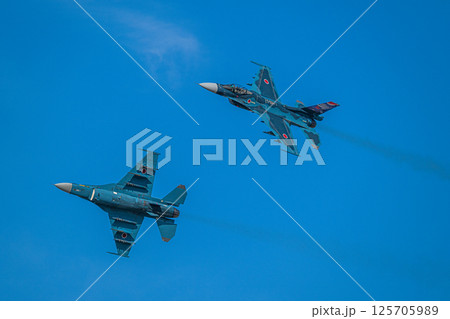 航空自衛隊　航空ショー 125705989