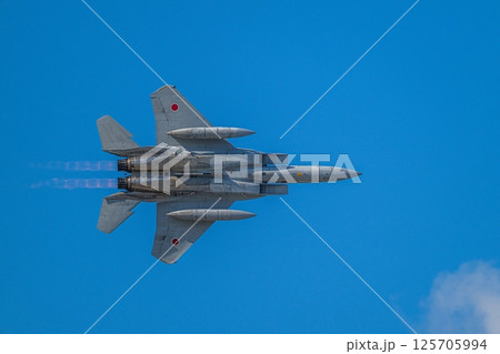 航空自衛隊　航空ショー 125705994