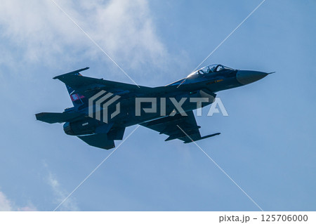 航空自衛隊　航空ショー 125706000