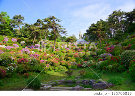 花と歴史の寺・塩船観音寺 花と歴史の寺・塩船観音寺 125706019