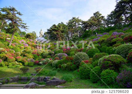 花と歴史の寺・塩船観音寺 花と歴史の寺・塩船観音寺 125706020
