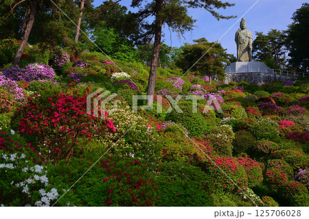 花と歴史の寺・塩船観音寺 125706028