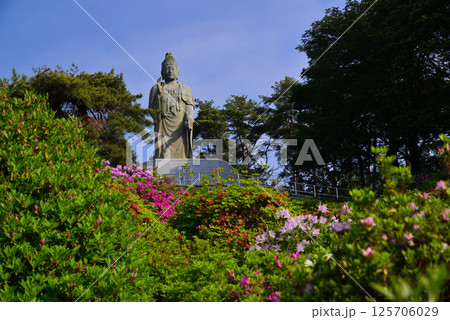 花と歴史の寺・塩船観音寺 125706029