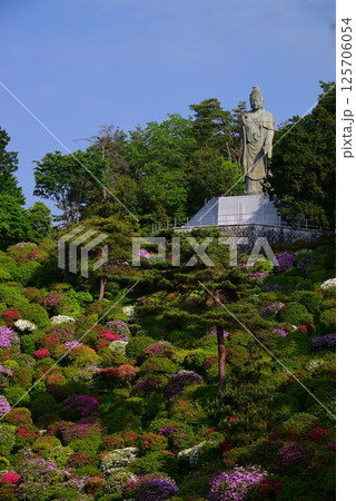 花と歴史の寺・塩船観音寺 花と歴史の寺・塩船観音寺 125706054