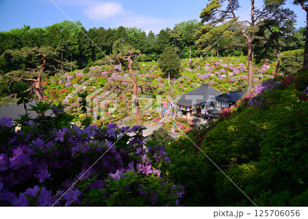 花と歴史の寺・塩船観音寺 花と歴史の寺・塩船観音寺 125706056