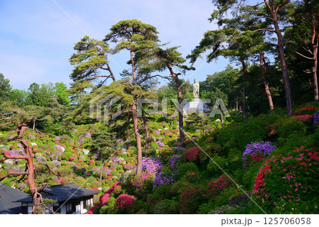 花と歴史の寺・塩船観音寺 花と歴史の寺・塩船観音寺 125706058