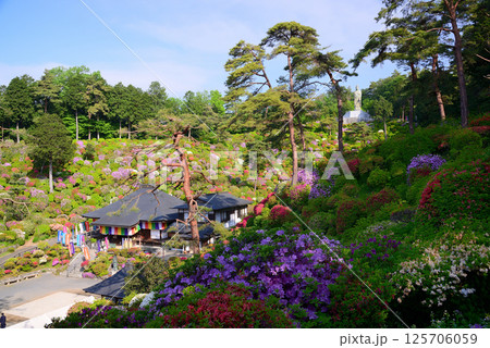 花と歴史の寺・塩船観音寺 125706059