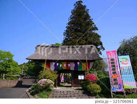 花と歴史の寺・塩船観音寺 125706061