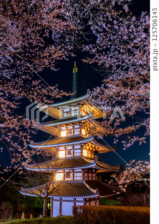 安達ヶ原ふるさと村の五重塔と夜桜 安達ヶ原ふるさと村の五重塔と夜桜 125706145