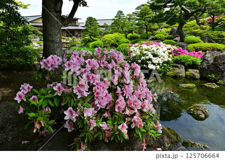 由志園の景色 由志園の景色 125706664