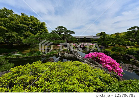 由志園の景色 125706785
