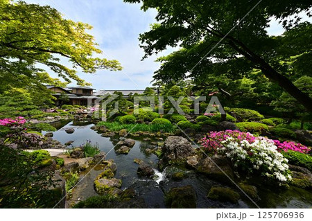 由志園の景色 由志園の景色 125706936