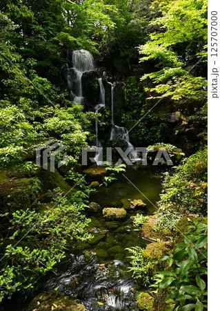 由志園の景色 由志園の景色 125707000