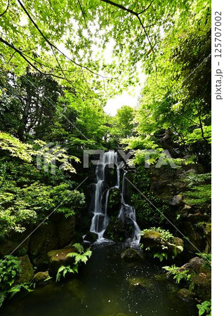 由志園の景色 125707002