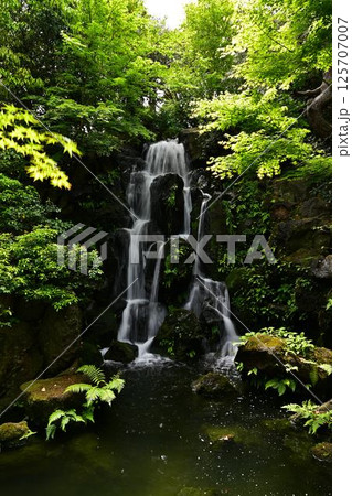 由志園の景色 由志園の景色 125707007