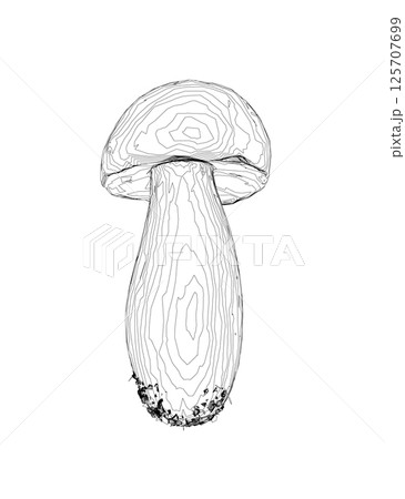 Outline champignon mushrooms Vector illustration drawn, toadstool, fly agaric, white toadstool, contour mushrooms isolated on a white background. Vector icon illustration of mushroom champignon. Outline champignon mushrooms Vector illustration drawn, toadstool, fly agaric, white toadstool, contour mushrooms isolated on a white background. Vector icon illustration of mushroom champignon. 125707699