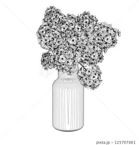Outlines of vases with flowers. Contour of line flower bouquets in vase, vector illustration 125707861