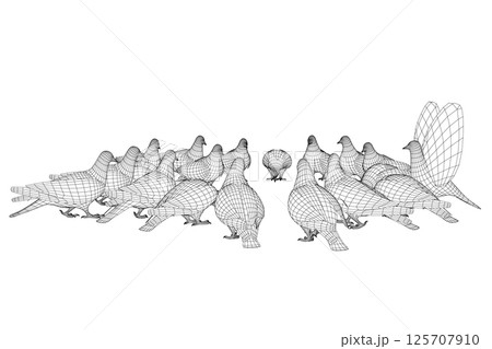 Pigeon bird wireframe sitting. Flat cartoon character design. Outline bird icon. Cute pigeon template. Vector illustration isolated on white background. 3D. 125707910