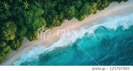 Tropical Beach Meets Lush Forest with Tranquil Waves Gently Kissing the Shore, Paradise Found. 125707995