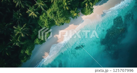 Tropical Beach Meets Lush Forest with Turquoise Water and Tranquil Island Vibes. 125707996