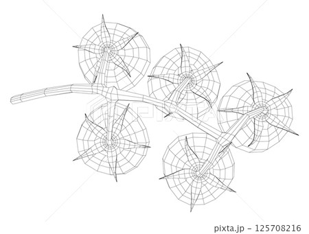 Cherry tomatoes branch vector line art illustration. Wireframe drawing art illustration. Wireframe of tomatoes organic food in silhouette on a white background. Linear stylized. Minimalist. 3D. Cherry tomatoes branch vector line art illustration. Wireframe drawing art illustration. Wireframe of tomatoes organic food in silhouette on a white background. Linear stylized. Minimalist. 3D. 125708216