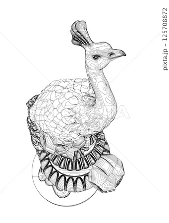 Decorative peacock. Adult anti-stress coloring page. Black and white hand drawn doodle for coloring book. Vector Black and White Floral Peacock Illustration Decorative peacock. Adult anti-stress coloring page. Black and white hand drawn doodle for coloring book. Vector Black and White Floral Peacock Illustration 125708872