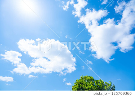 青空と雲と木立 125709360