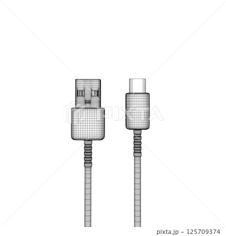 Wireframe Charging cable, wires with type-c and USB-A ports, contour vector black and white images. charging cable. concept of connection, tech, cell phone accessories, recharge, data transmission. 3D 125709374
