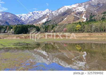 白馬山麓 雪どけの春 白馬山麓 雪どけの春 125709492