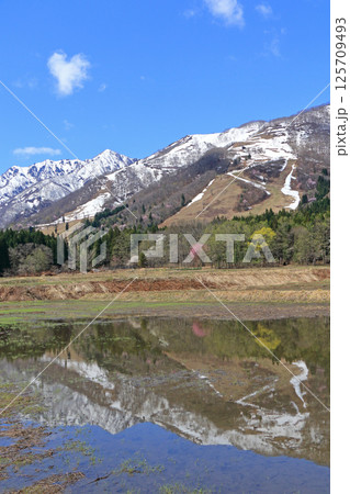 白馬山麓 雪どけの春 125709493