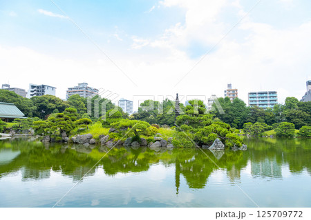 清澄庭園　大泉水 125709772